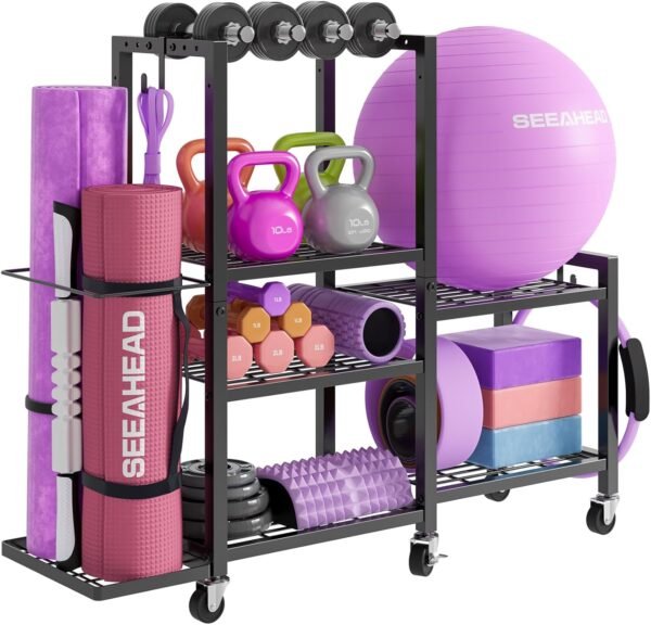 Home Gym Equipment