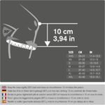 Functional Training - Image 5