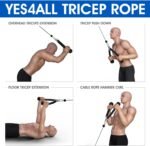 Fitness Accessories - Image 7