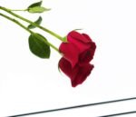 Home Gym Equipment - Image 4