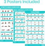 Fitness Accessories - Image 2