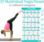 Fitness Accessories - Image 4