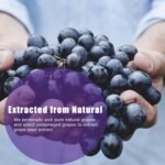 Vitamins & Minerals - Image 3