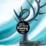 Fitness Accessories - Image 5