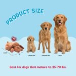 Stress Relief Products - Image 9