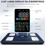 Fitness Accessories - Image 2