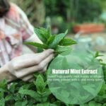 Vitamins & Minerals - Image 4