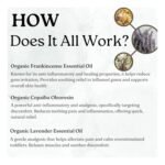 Stress Relief Products - Image 6