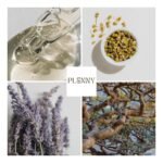 Stress Relief Products - Image 8