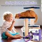 Stress Relief Products - Image 2