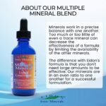 Vitamins & Minerals - Image 4