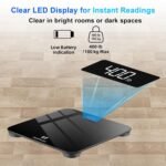 Fitness Accessories - Image 5