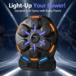 Home Gym Equipment - Image 6