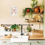 Vitamins & Minerals - Image 5