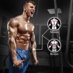 Fitness Accessories - Image 4