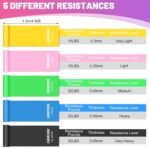 Fitness Accessories - Image 2