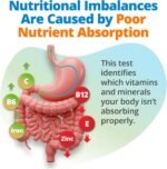Vitamins & Minerals - Image 2