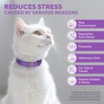 Stress Relief Products - Image 3