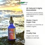 Vitamins & Minerals - Image 5