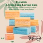 Vitamins & Minerals - Image 4