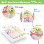 Vitamins & Minerals - Image 4