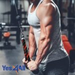 Fitness Accessories - Image 4