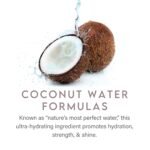 Vitamins & Minerals - Image 5