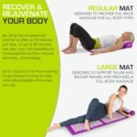 Fitness Accessories - Image 5