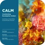 Stress Relief Products - Image 3