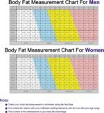 Fitness Accessories - Image 6