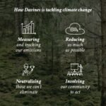 Hair care - Image 12